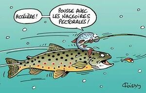 Concours de pêche le 27 juin 2026