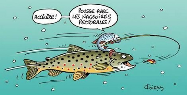 Concours de pêche le 27 juin 2026