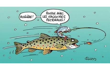 Concours de pêche le 27 juin 2026